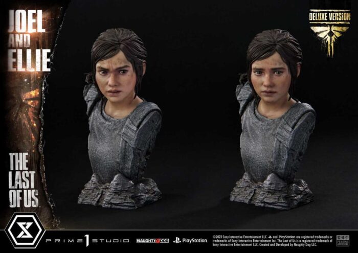 The Last of Us DXV The Last of Us DXV
