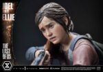 The Last of Us DXV
