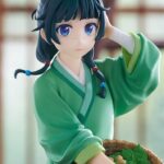 Die Tagebücher der Apothekerin