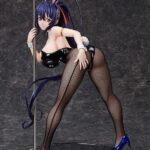High School DxD