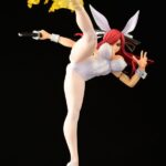 Erza Fairy Tail
