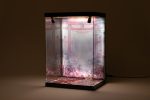 SHINSAI Acryl Display Case