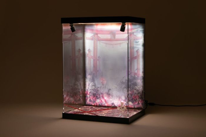 SHINSAI Acryl Display Case SHINSAI Acryl Display Case