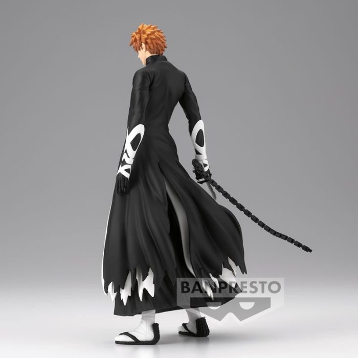 Bleach "Solid and Souls Ichigo Kurosaki"