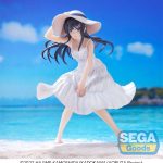 Rascal Does Not Dream of Bunny Girl Senpai