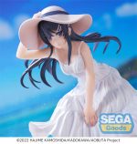 Rascal Does Not Dream of Bunny Girl Senpai
