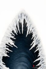 The Witcher 3 Statue 1/6 Wild Hunt Diorama 55 cm – Bild 16